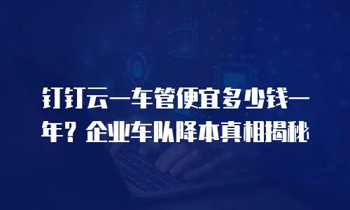 钉钉云一车管便宜多少钱一年？企业车队降本真相揭秘