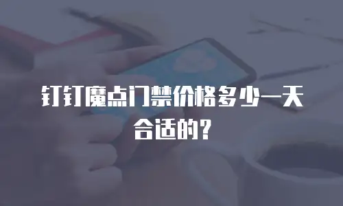 钉钉魔点门禁价格多少一天合适的？