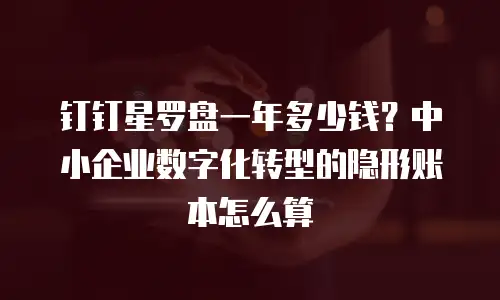 钉钉星罗盘一年多少钱？中小企业数字化转型的隐形账本怎么算