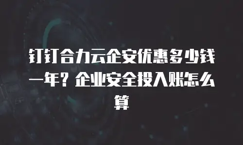 钉钉合力云企安优惠多少钱一年？企业安全投入账怎么算
