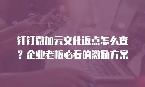 钉钉微加云文化返点怎么查？企业老板必看的激励方案