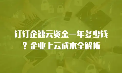 钉钉企速云资金一年多少钱？企业上云成本全解析