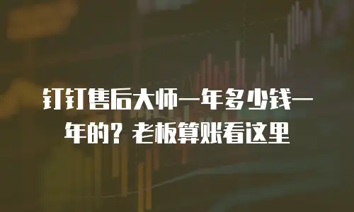 钉钉售后大师一年多少钱一年的？老板算账看这里