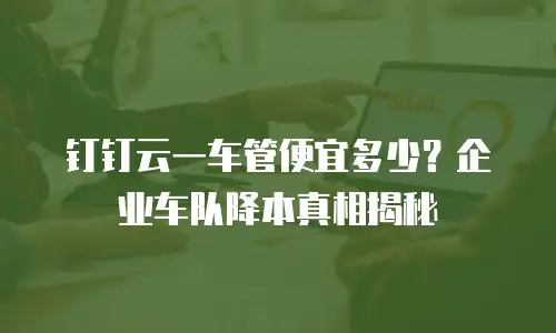钉钉云一车管便宜多少？企业车队降本真相揭秘