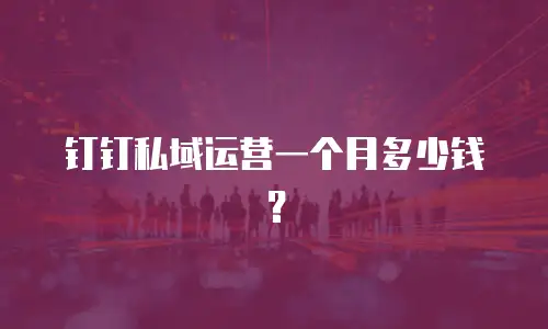钉钉私域运营一个月多少钱？