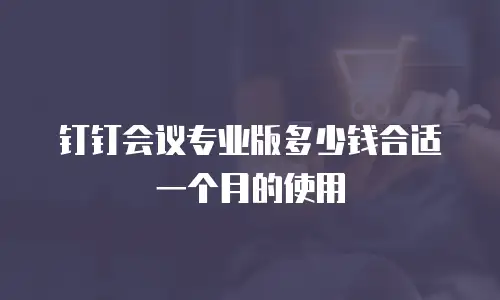 钉钉会议专业版多少钱合适一个月的使用