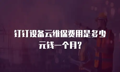 钉钉设备云维保费用是多少元钱一个月？