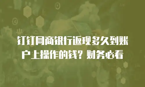 钉钉网商银行返现多久到账户上操作的钱？财务必看