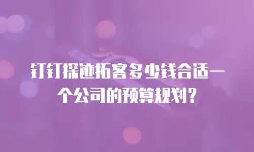 钉钉探迹拓客多少钱合适一个公司的预算规划？