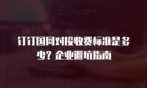 钉钉国网对接收费标准是多少？企业避坑指南