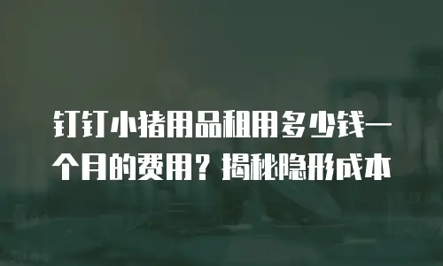 钉钉小猪用品租用多少钱一个月的费用？揭秘隐形成本