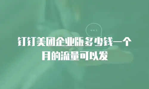 钉钉美团企业版多少钱一个月的流量可以发