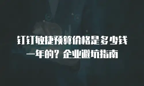钉钉敏捷预算价格是多少钱一年的？企业避坑指南