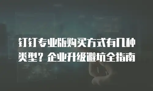 钉钉专业版购买方式有几种类型？企业升级避坑全指南