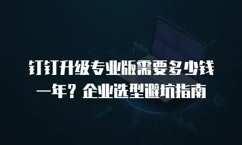 钉钉升级专业版需要多少钱一年？企业选型避坑指南
