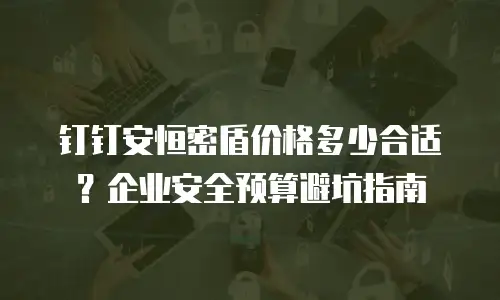 钉钉安恒密盾价格多少合适？企业安全预算避坑指南
