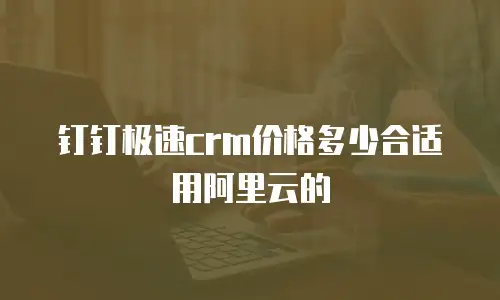 钉钉极速crm价格多少合适用阿里云的