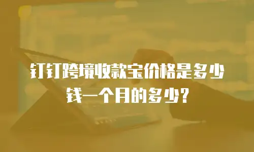 钉钉跨境收款宝价格是多少钱一个月的多少？