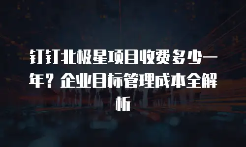 钉钉北极星项目收费多少一年？企业目标管理成本全解析