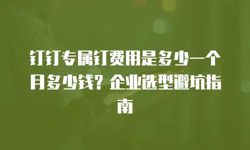 钉钉专属钉费用是多少一个月多少钱？企业选型避坑指南