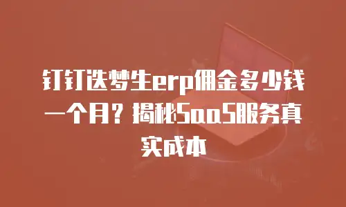 钉钉迭梦生erp佣金多少钱一个月？揭秘SaaS服务真实成本