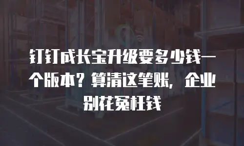 钉钉成长宝升级要多少钱一个版本？算清这笔账，企业别花冤枉钱