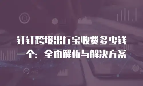 钉钉跨境出行宝收费多少钱一个：全面解析与解决方案
