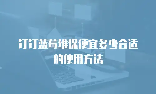 钉钉蓝莓维保便宜多少合适的使用方法