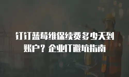 钉钉蓝莓维保续费多少天到账户？企业IT避坑指南