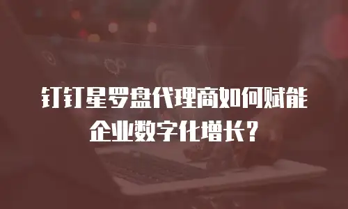 钉钉星罗盘代理商如何赋能企业数字化增长？