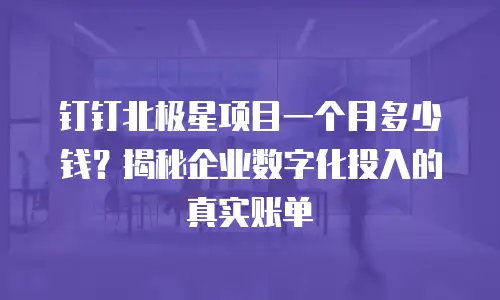钉钉北极星项目一个月多少钱？揭秘企业数字化投入的真实账单