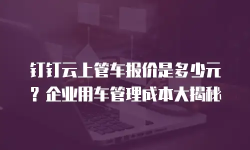 钉钉云上管车报价是多少元？企业用车管理成本大揭秘