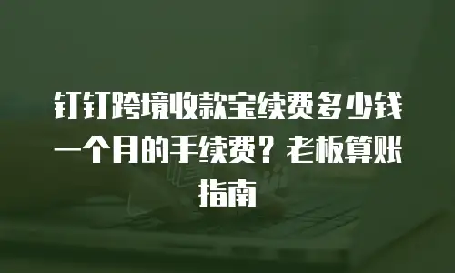 钉钉跨境收款宝续费多少钱一个月的手续费？老板算账指南