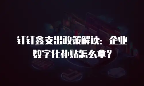 钉钉鑫支出政策解读：企业数字化补贴怎么拿？