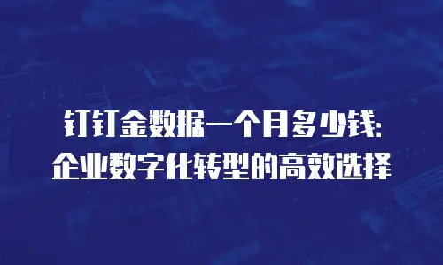 钉钉金数据一个月多少钱：企业数字化转型的高效选择