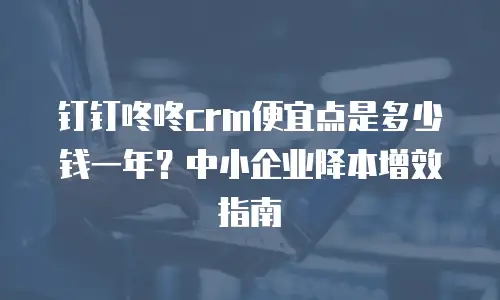 钉钉咚咚crm便宜点是多少钱一年？中小企业降本增效指南