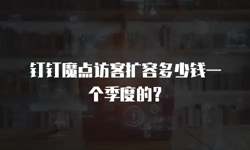 钉钉魔点访客扩容多少钱一个季度的？