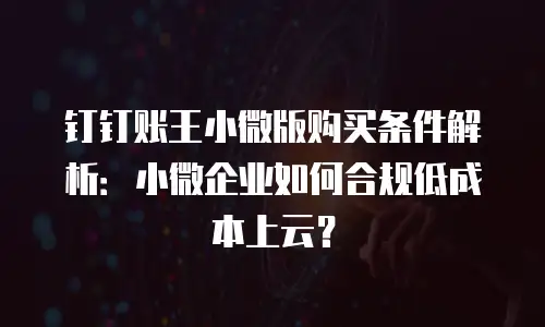 钉钉账王小微版购买条件解析：小微企业如何合规低成本上云？