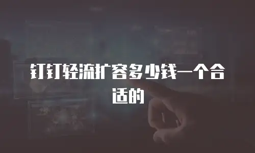 钉钉轻流扩容多少钱一个合适的
