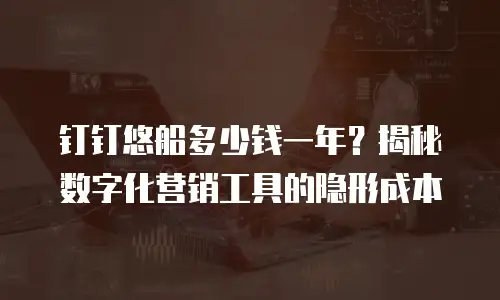 钉钉悠船多少钱一年？揭秘数字化营销工具的隐形成本