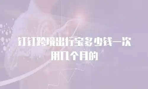 钉钉跨境出行宝多少钱一次用几个月的