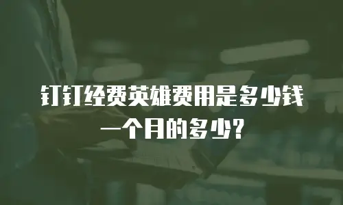 钉钉经费英雄费用是多少钱一个月的多少？