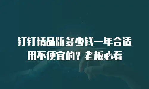 钉钉精品版多少钱一年合适用不便宜的？老板必看