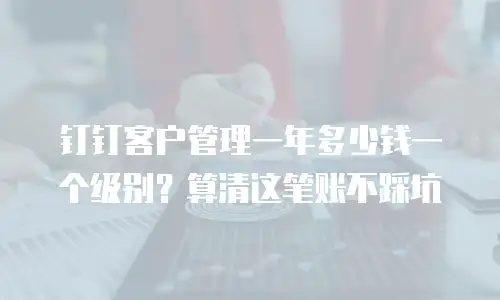 钉钉客户管理一年多少钱一个级别？算清这笔账不踩坑
