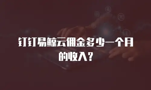 钉钉易鲸云佣金多少一个月的收入？