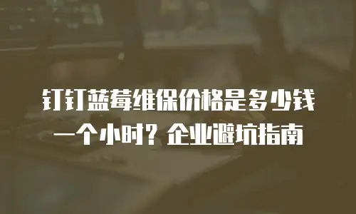 钉钉蓝莓维保价格是多少钱一个小时？企业避坑指南