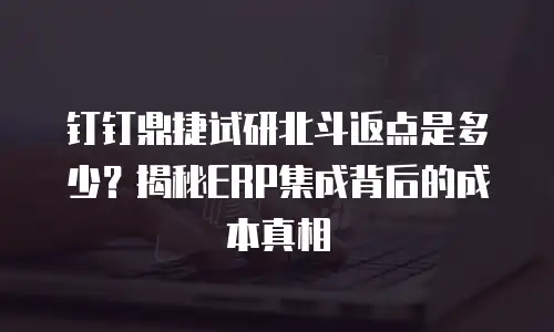 钉钉鼎捷试研北斗返点是多少？揭秘ERP集成背后的成本真相