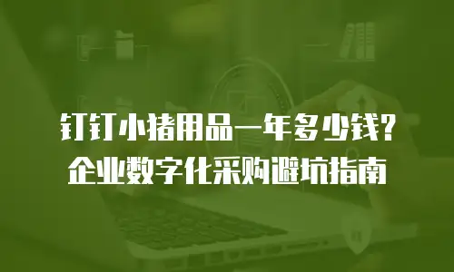 钉钉小猪用品一年多少钱？企业数字化采购避坑指南