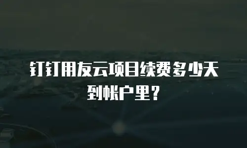 钉钉用友云项目续费多少天到帐户里？