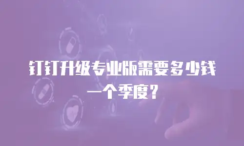 钉钉升级专业版需要多少钱一个季度？